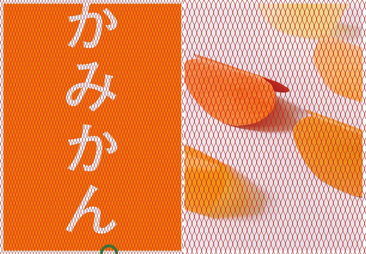 小杉幸一展　福岡みかん帖／かみかん