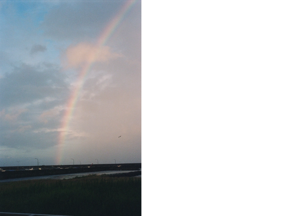 小見出しが入ります