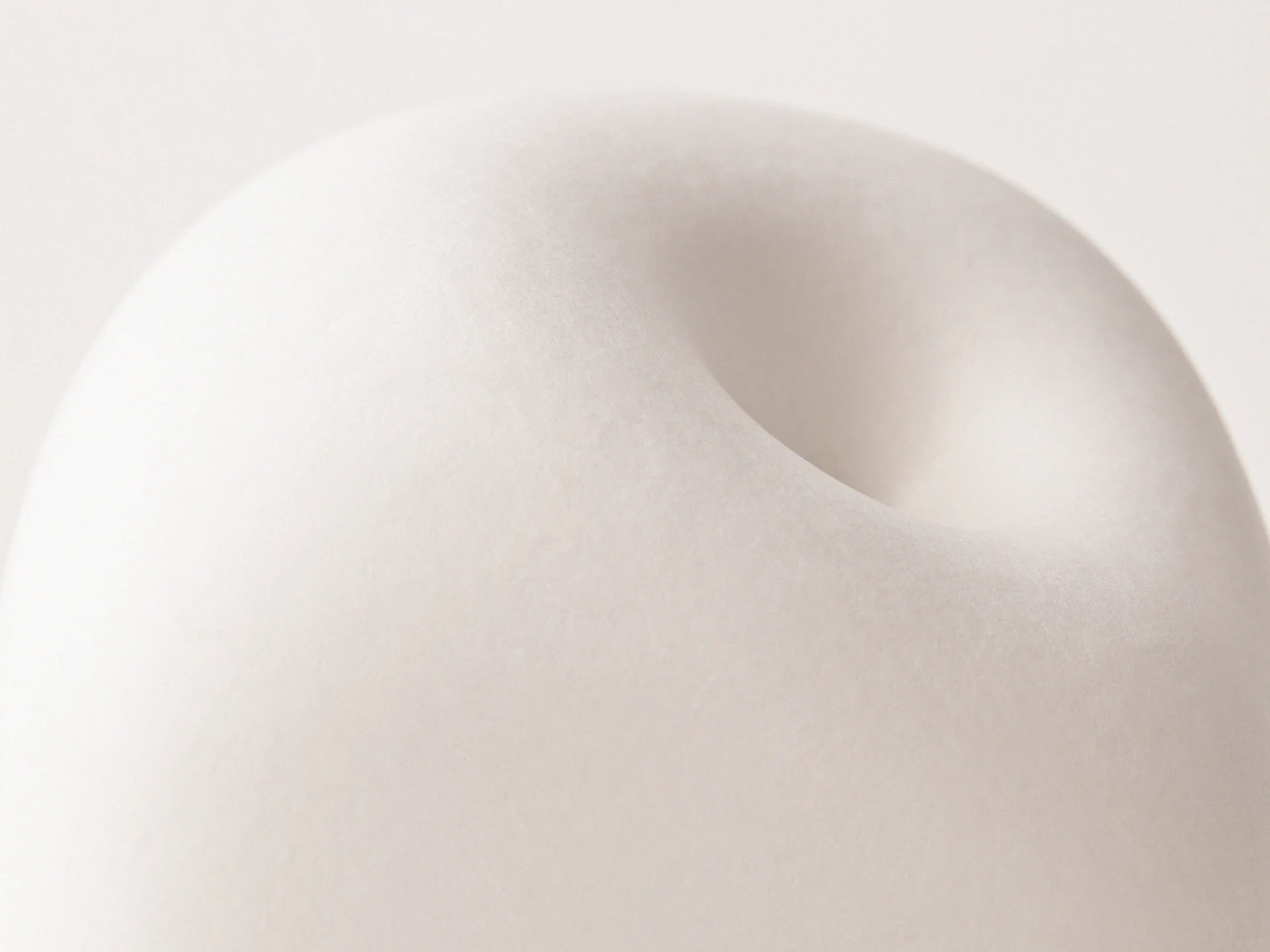 パルプの<br>官能的なふくらみ
