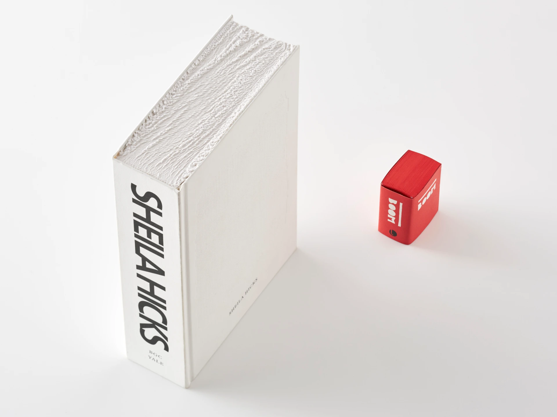 本であり、建築であり、<br>決闘であり。
