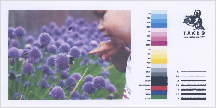 インクジェットプリンタでの出力