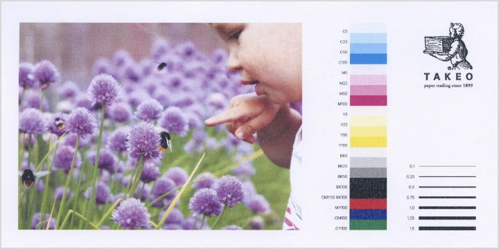 レーザープリンタでの出力