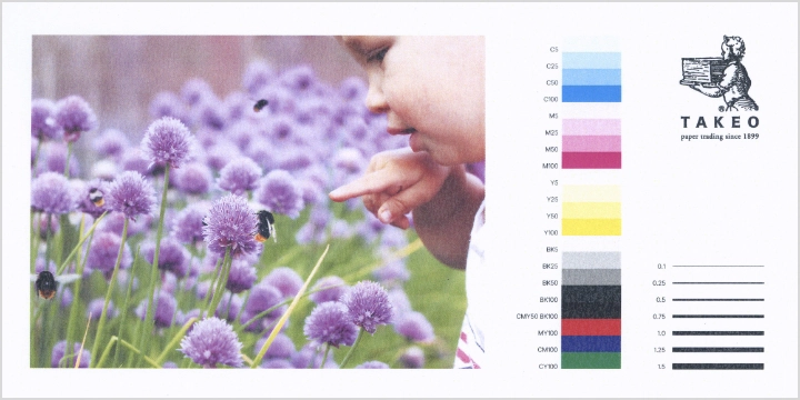 レーザープリンタでの出力