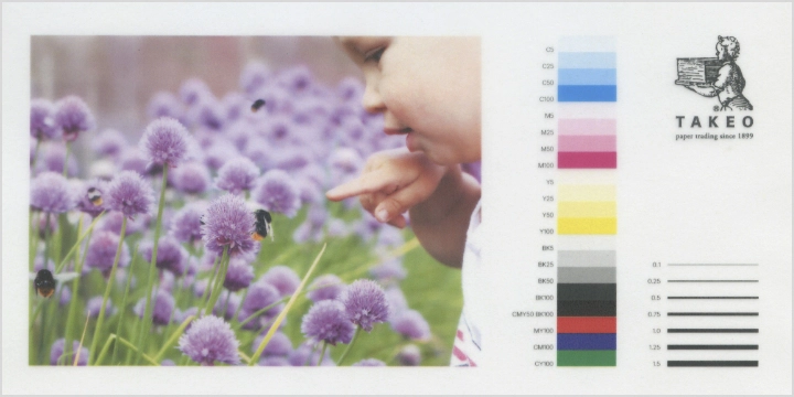 レーザープリンタでの出力