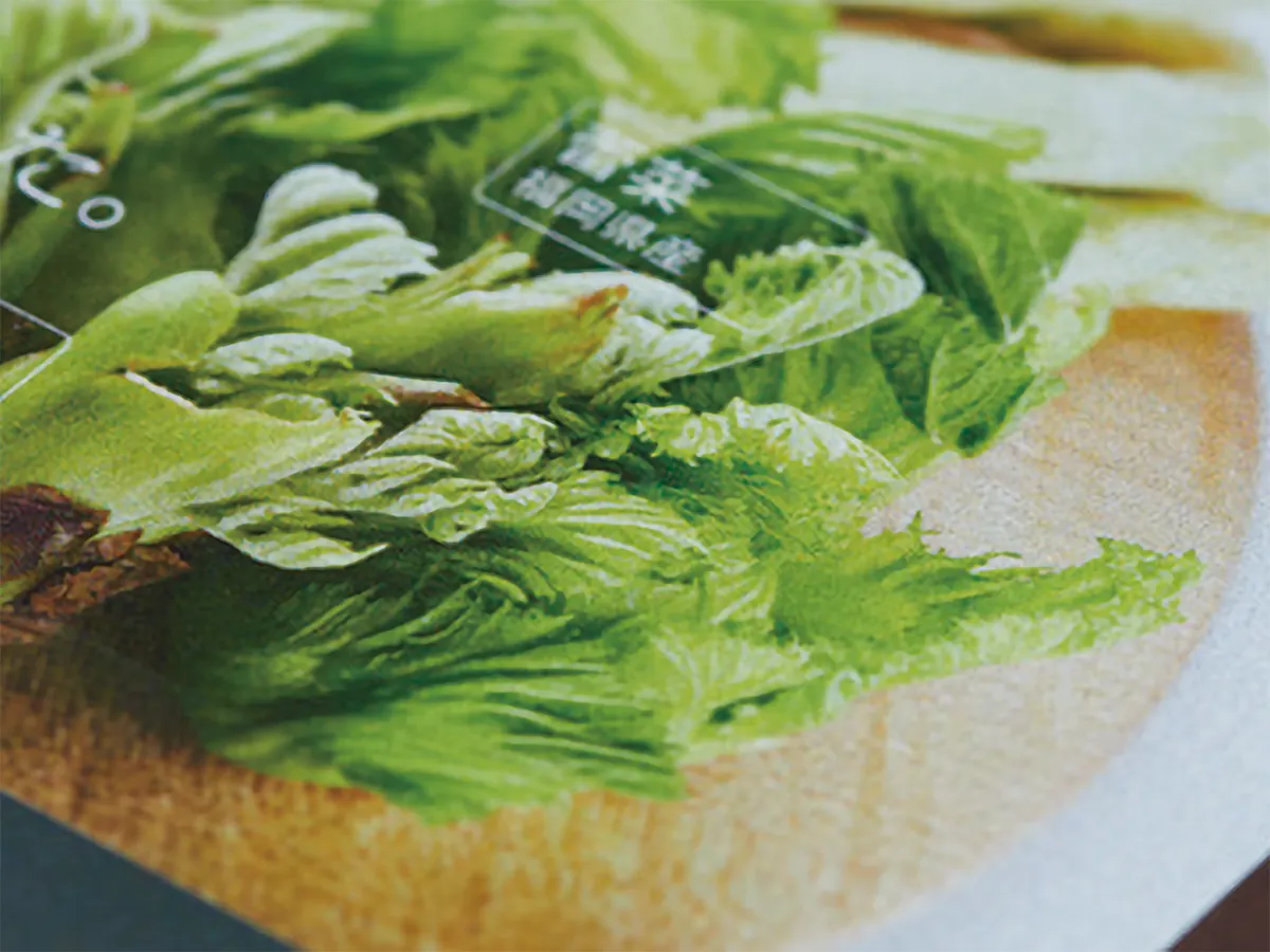 ［写真表現］隠蔽性の高い白を、下地としてひくことで紙地に影響されない写真表現が可能です。