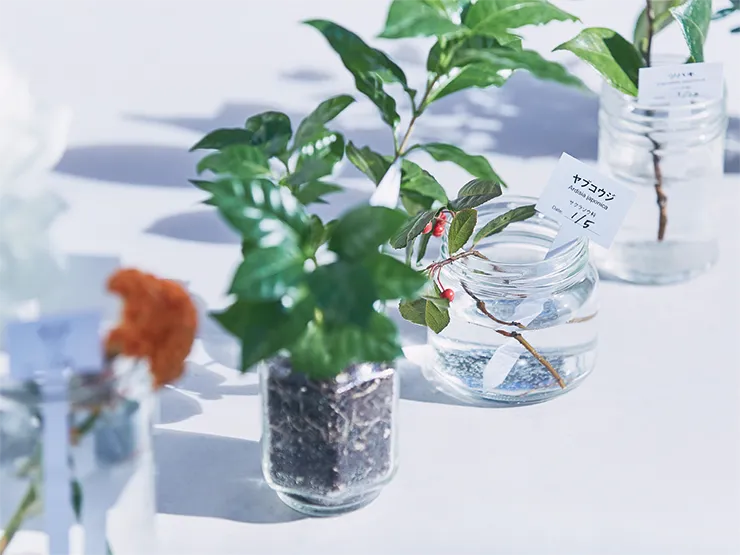 雨ニモマケナイ紙