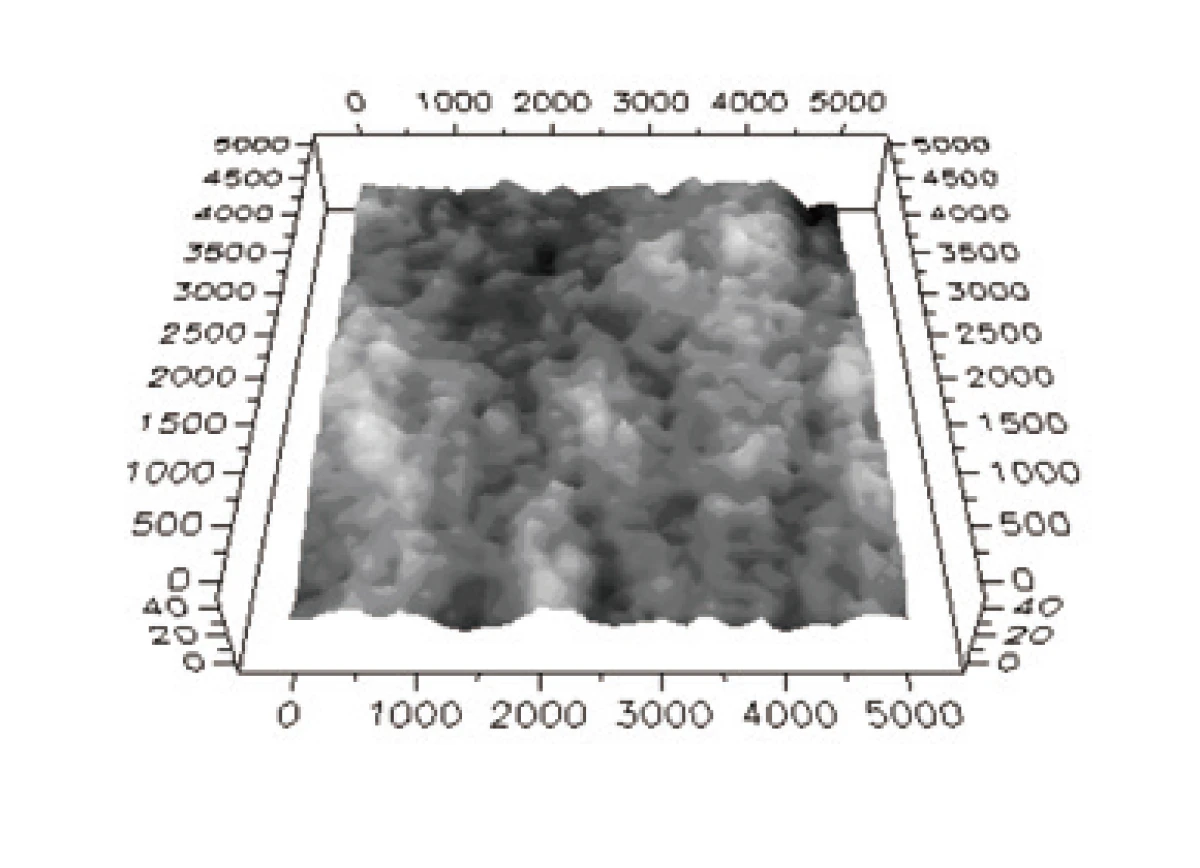 ヴァンヌーボLT-FSの三次元粗さ