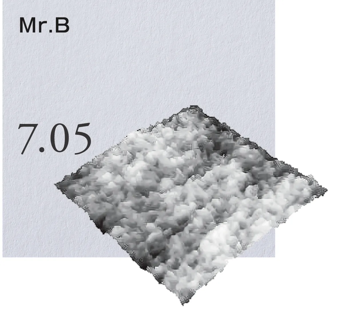 Mr.B ざっくりとした表面と、 グロス感の強い印刷が特徴の ラフ・グロス紙。