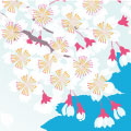 竹尾バナーカレンダー2020　「四季の花」　株式会社デザインフィル　デザイナー　浅岡美香