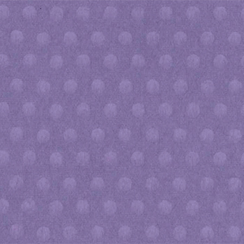 玉しき　紫
